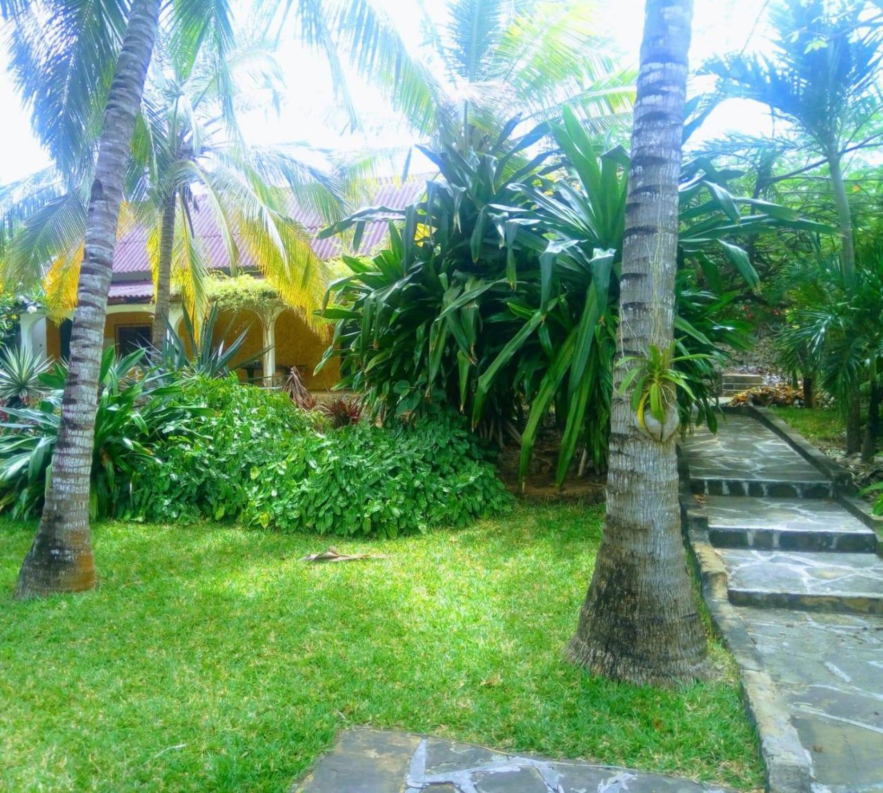Pashmina House Bed and Breakfast Watamu Εξωτερικό φωτογραφία