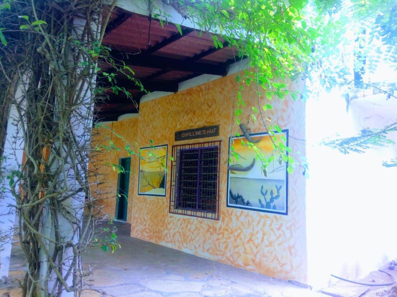 Pashmina House Bed and Breakfast Watamu Εξωτερικό φωτογραφία