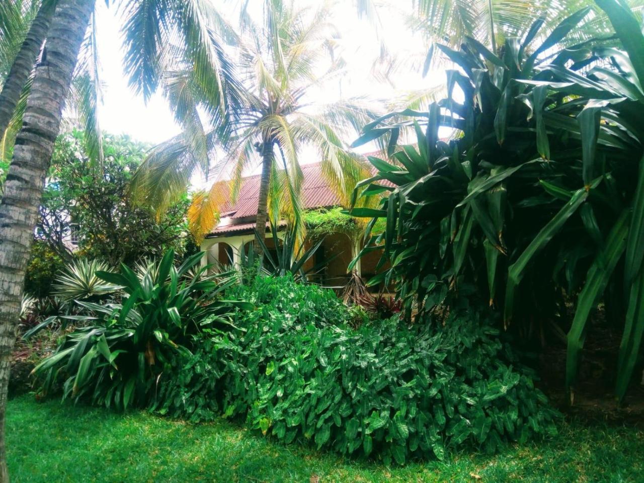 Pashmina House Bed and Breakfast Watamu Εξωτερικό φωτογραφία